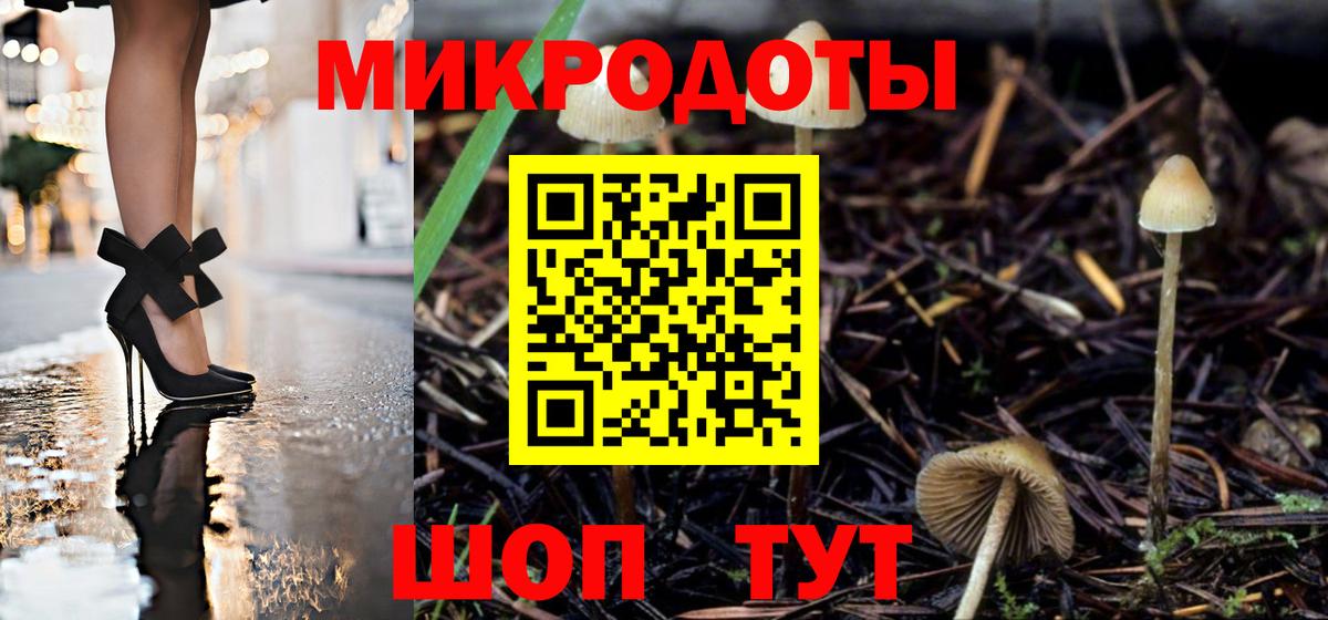 Галлюциногенные грибы Psilocybe Павловский Посад