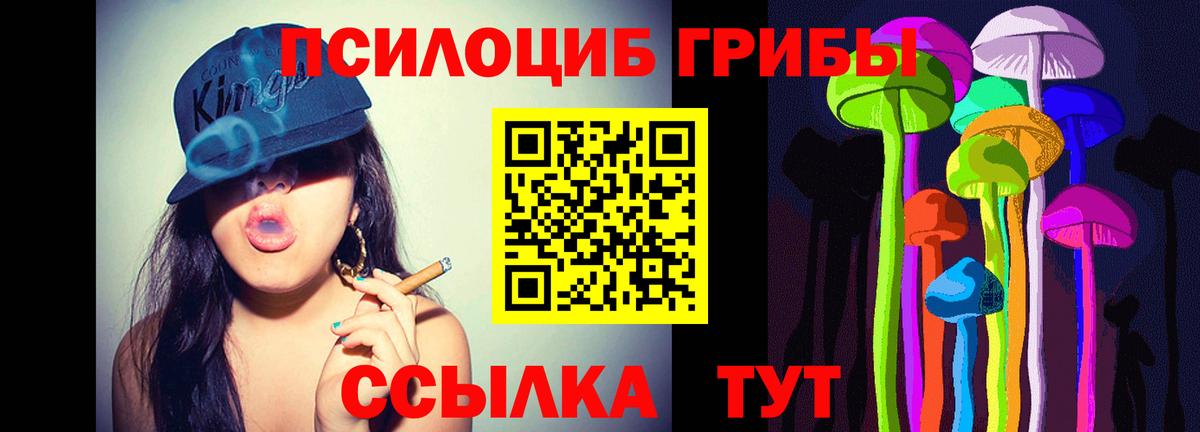 продажа наркотиков  Псилоцибиновые грибы GOLDEN TEACHER  Псилоцибиновые грибы GOLDEN TEACHER  Вход с VPN  Павловский Посад 